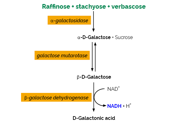 Raffinose D-Galactose Assay Kit K-RAFGA RAFGA