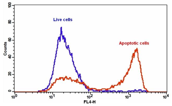 Cell Meter Annexin V凋亡检测试剂盒 深红色荧光 适合流式细胞检测     货号22827