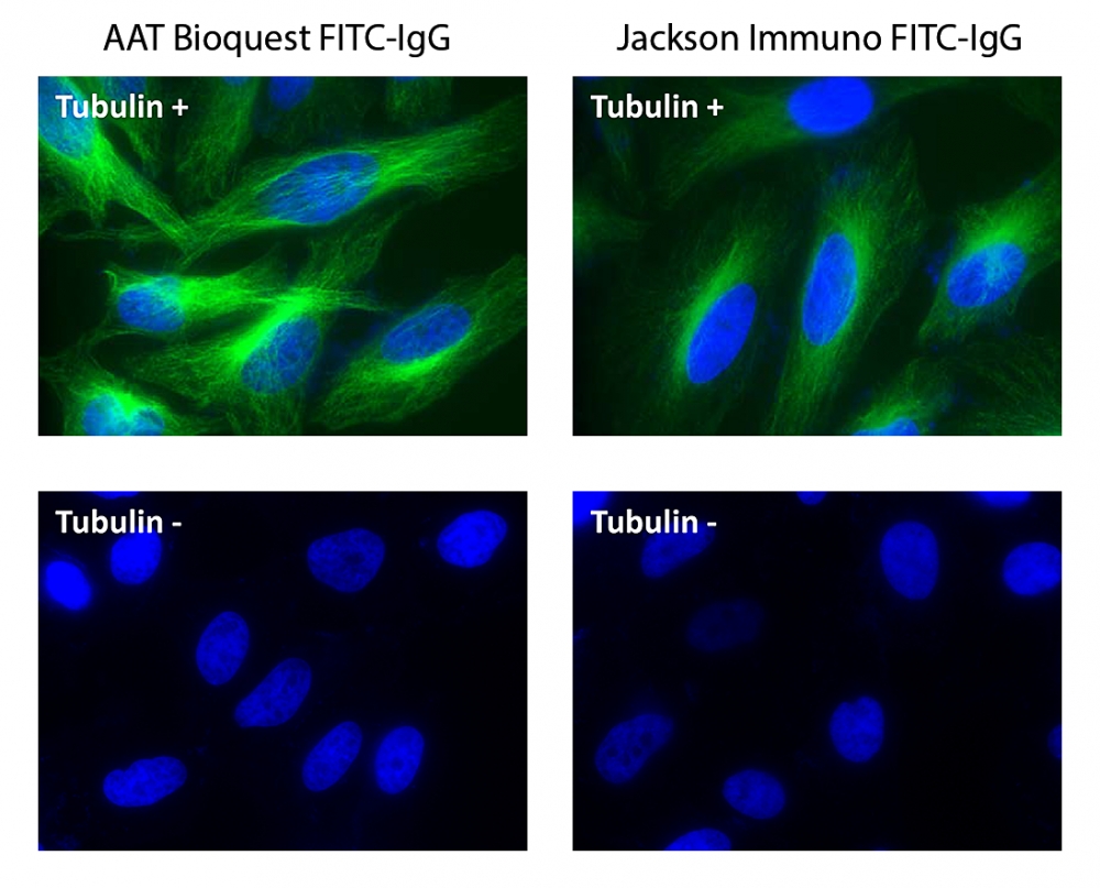 FITC羊抗鼠免疫球蛋白(H+L)*交叉亲和 降低干扰*    货号16860