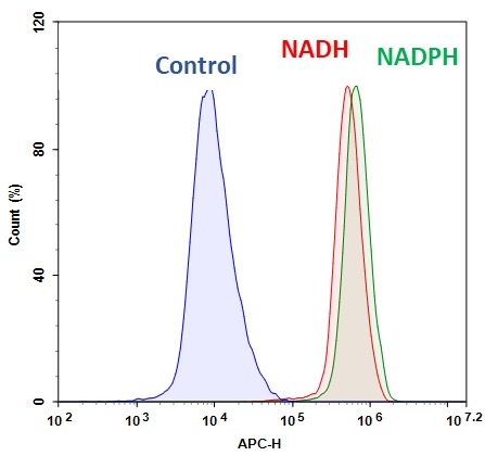 Cell Meter 细胞内NADH / NADPH流式细胞分析试剂盒 深红色荧光     货号15296