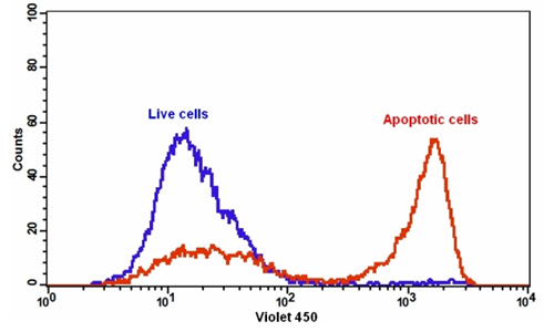 Cell Meter Annexin V凋亡检测试剂盒 蓝色荧光 405nm激发     货号22828