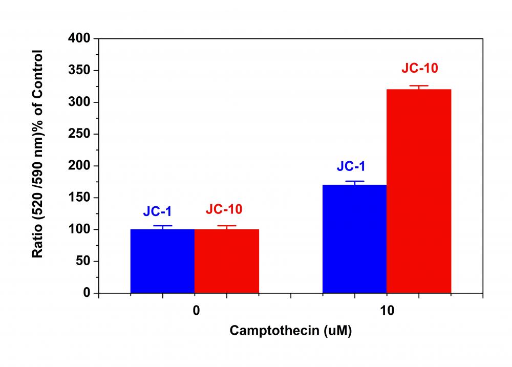 线粒体膜电位荧光探针JC-10 JC-1的卓越代替品    货号22204