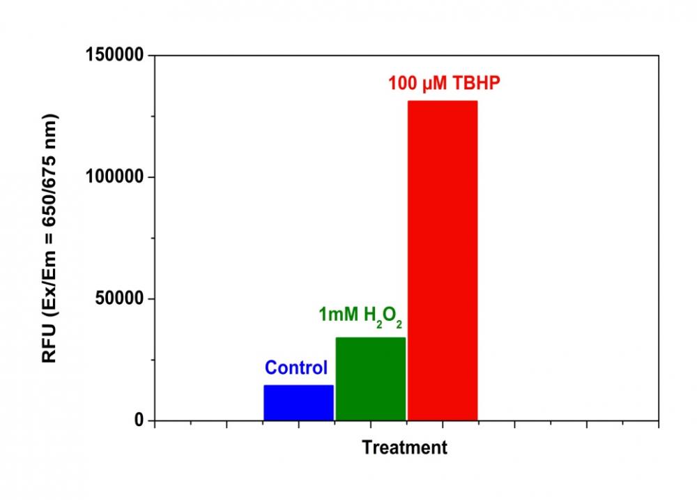 活性氧 Cell Meter 荧光法胞内总ROS检测试剂盒 深红色荧光     货号22903
