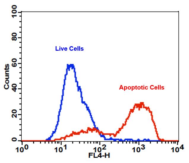 Cell Meter  APC-Annexin V细胞凋亡检测试剂盒 适合于流式细胞仪      货号22837