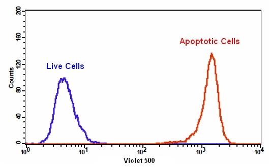 Cell Meter 磷脂酰丝氨酸细胞凋亡检测试剂盒 绿色荧光 405nm激发     货号22836