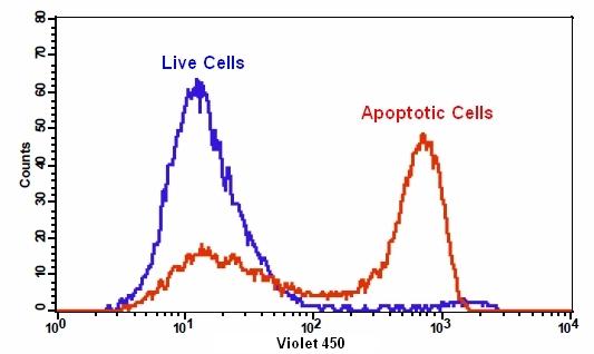 Cell Meter 磷脂酰丝氨酸细胞凋亡检测试剂盒 蓝色荧光 405nm激发     货号22835