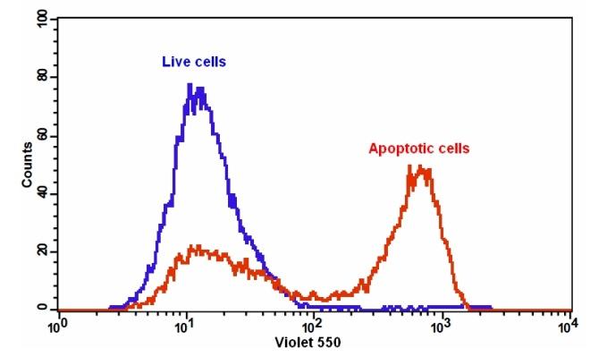 Cell Meter Annexin V凋亡检测试剂盒 橙色荧光 405nm激发     货号22830