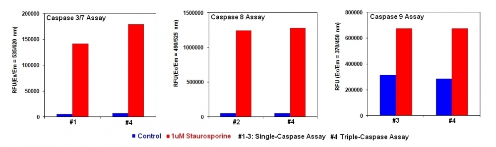 Cell Meter Caspase 3/7/8/9活性细胞凋亡复用检测试剂盒 三色荧光     货号22820