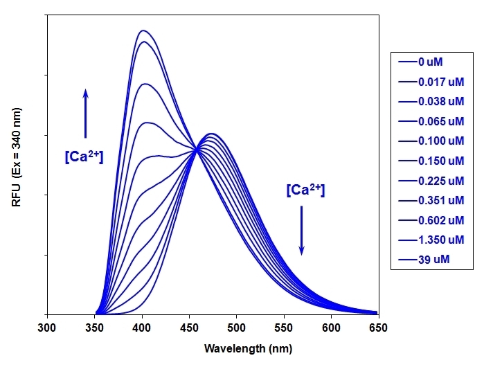 钙离子荧光探针Indo-1, AM CAS 112926-02-0    货号21033