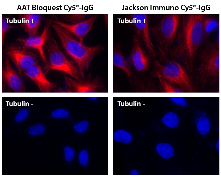 Cy5®羊抗鼠免疫球蛋白(H+L)*交叉亲和 降低干扰*    货号16863