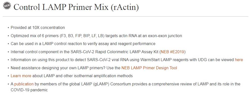Control LAMP Primer Mix (rActin)--NEB酶试剂