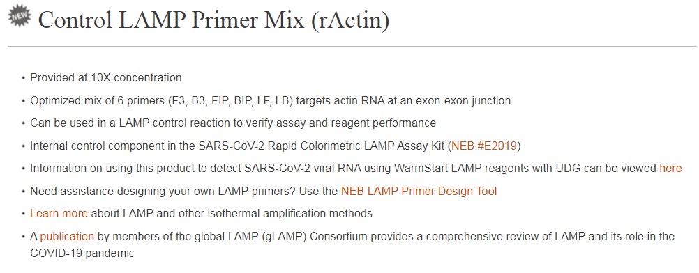 Control LAMP Primer Mix (rActin)--NEB酶试剂