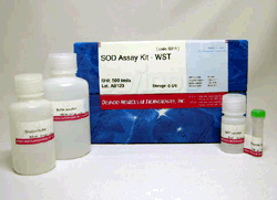 抗酸化能測定キット SOD Assay Kit - WST　同仁化学研究所