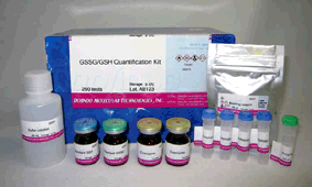 抗酸化能測定キット DPPH Antioxidant Assay Kit　同仁化学研究所