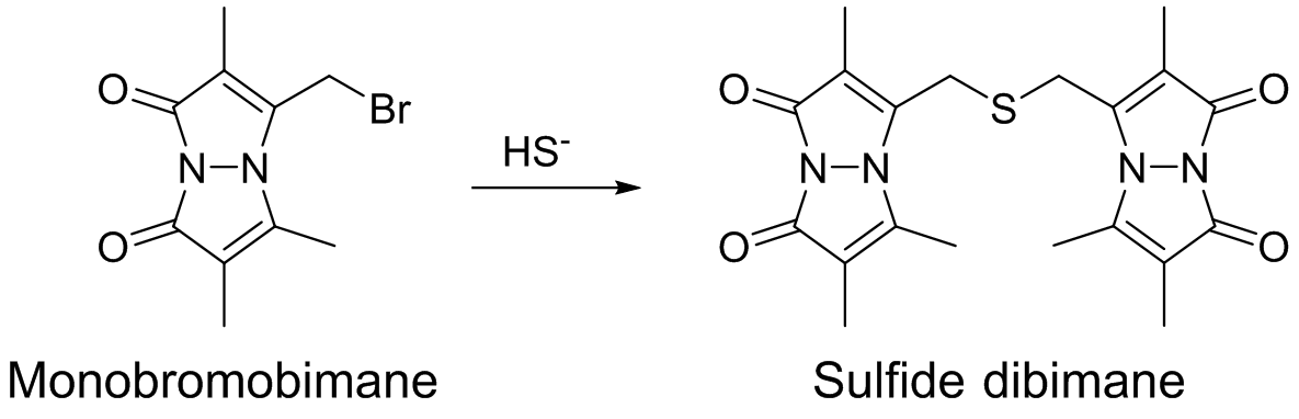 生体硫黄解析用試薬 -SulfoBiotics- Sulfide dibimane　同仁化学研究所