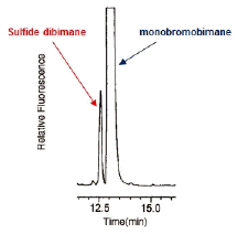 生体硫黄解析用試薬 -SulfoBiotics- Sulfide dibimane　同仁化学研究所
