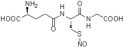 NO検出関連試薬 S-Nitrosoglutathione　同仁化学研究所