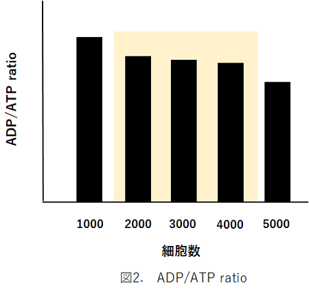 ADP/ATP比測定キット ADP/ATP Ratio Assay Kit-Luminescence　同仁化学研究所