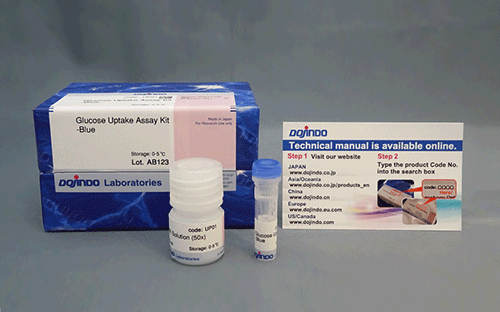グルコース取り込み検出キットRed Glucose Uptake Assay Kit-Red　同仁化学研究所