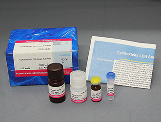 細胞増殖/細胞毒性アッセイキット Viability/Cytotoxicity Multiplex Assay Kit　同仁化学研究所