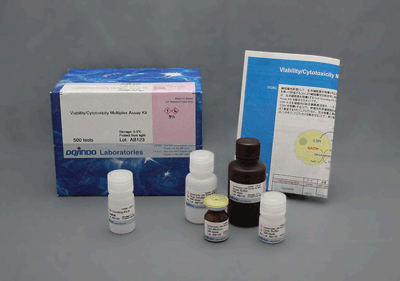 細胞毒性測定キット Cytotoxicity LDH Assay Kit-WST　同仁化学研究所