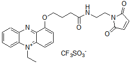 電子メディエーター 1-Methoxy PMS　同仁化学研究所