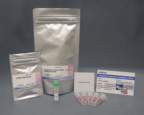 エクソソーム 膜蛍光染色キット Red ExoSparkler Exosome Membrane Labeling Kit-Red　同仁化学研究所