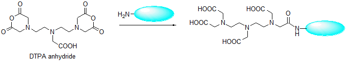キレート標識試薬 DTPA anhydride　同仁化学研究所