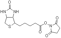 ビオチン標識試薬 Biotin-OSu 同仁化学研究所