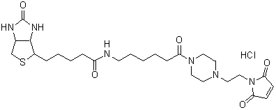 ビオチン標識試薬 Biotin-PEAC5-maleimide　同仁化学研究所