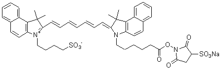 蛍光標識試薬 ICG-Sulfo-OSu　同仁化学研究所