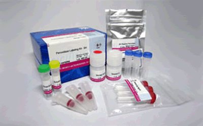 抗体・タンパク質標識キット Peroxidase Labeling Kit - NH2 (for 1mg)　同仁化学研究所