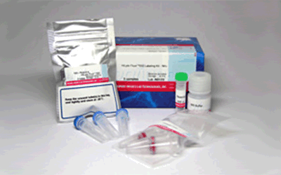 抗体標識キット Ab-10 Rapid HiLyte Fluor&trade; 647 Labeling Kit　同仁化学研究所