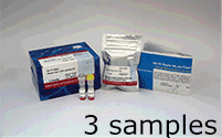 抗体標識キット Ab-10 Rapid HiLyte Fluor&trade; 555 Labeling Kit　同仁化学研究所
