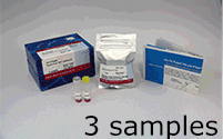 抗体標識キット Ab-10 Rapid HiLyte Fluor&trade; 555 Labeling Kit　同仁化学研究所