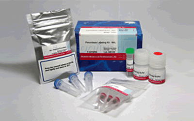 抗体標識キット Ab-10 Rapid Peroxidase Labeling Kit　同仁化学研究所