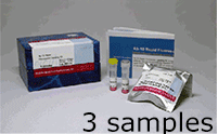 抗体標識キット Ab-10 Rapid Fluorescein Labeling Kit　同仁化学研究所