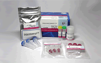 抗体・タンパク質標識キット Allophycocyanin Labeling Kit - SH　同仁化学研究所
