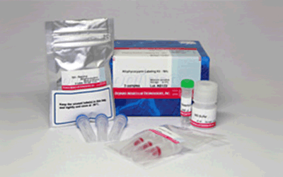 抗体・タンパク質標識キット Allophycocyanin Labeling Kit - NH2　同仁化学研究所