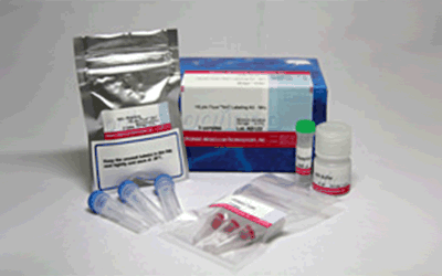抗体・タンパク質標識キット HiLyte Fluor&trade; 647 Labeling Kit - NH2　同仁化学研究所