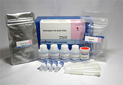 抗体・タンパク質標識キット Biotinylation Kit (Sulfo-OSu)　同仁化学研究所