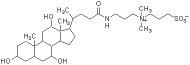 膜タンパク質可溶化剤 CHAPS　同仁化学研究所