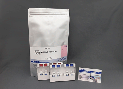 CFDA/PI で菌を二重染色 -Bacstain- Bacterial Viability Detection Kit - CFDA/PI　同仁化学研究所