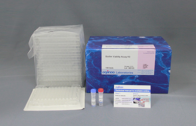 バイオフィルム薬剤効果測定キット Biofilm Viability Assay Kit　同仁化学研究所