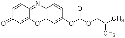 生細胞染色用色素 -Cellstain&reg;- CytoRed solution　同仁化学研究所