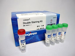 細胞二重染色キット -Cellstain&reg;- Double Staining Kit　同仁化学研究所