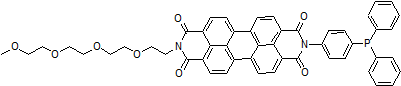 細胞内鉄イオン測定試薬 FerroOrange　同仁化学研究所