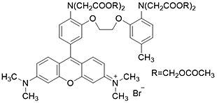 カルシウムイオン測定試薬 Rhod 2-AM　同仁化学研究所