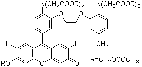 細胞内カルシウムイオン測定試薬 Fluo 4-AM　同仁化学研究所