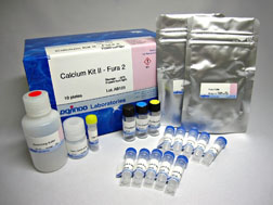 細胞内カルシウムイオン測定キット Calcium Kit II - Fura 2　同仁化学研究所